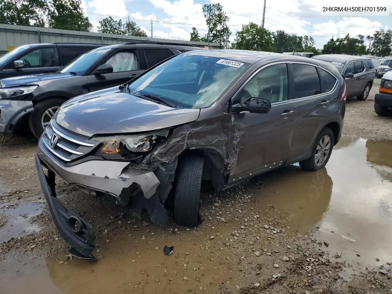 2014 Honda Cr-V Ex VIN: 2HKRM4H50EH701599 Lot: 61661325
