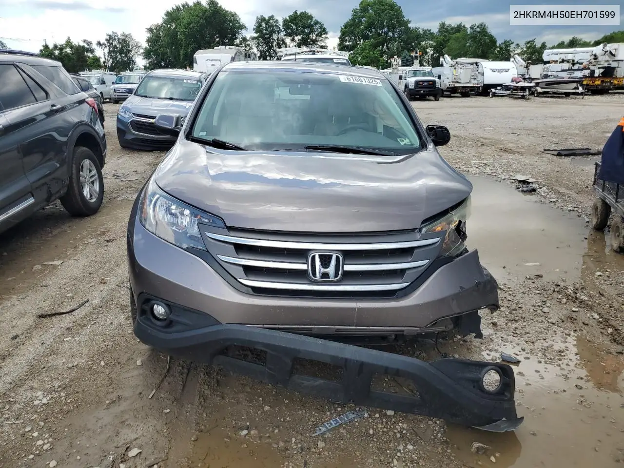 2014 Honda Cr-V Ex VIN: 2HKRM4H50EH701599 Lot: 61661325