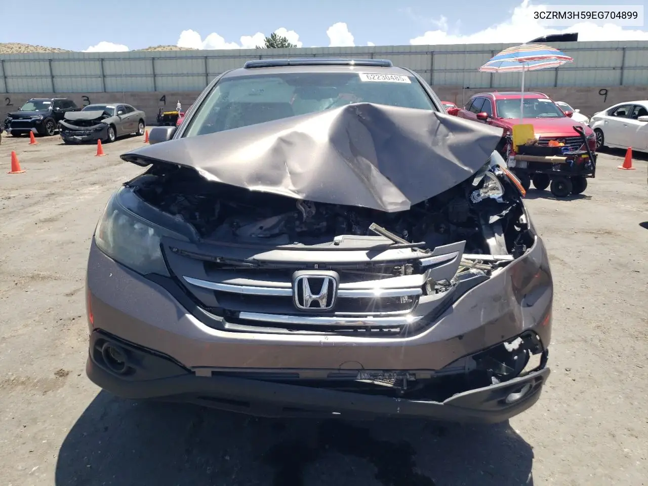 2014 Honda Cr-V Ex VIN: 3CZRM3H59EG704899 Lot: 62230485
