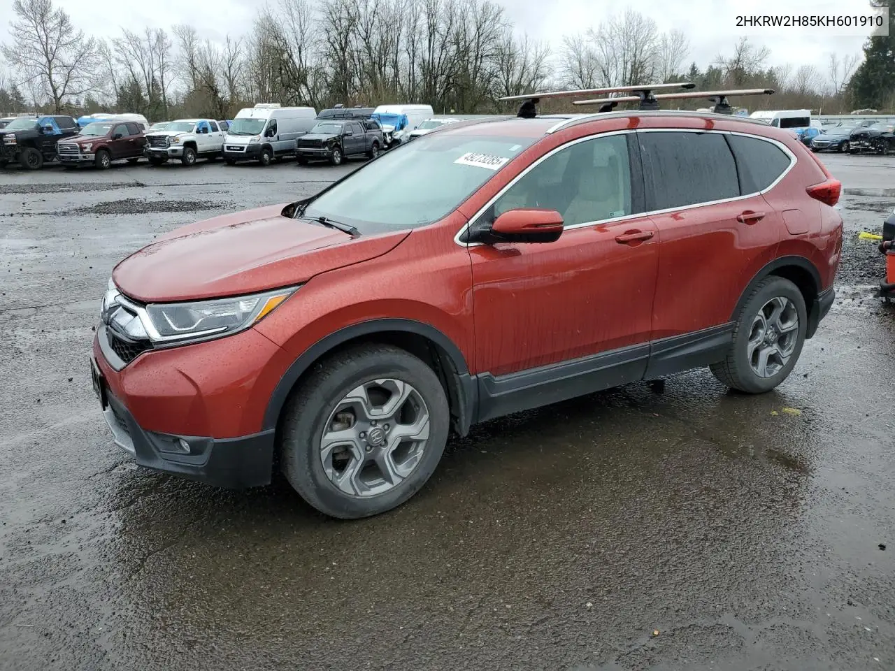 2019 Honda Cr-V Exl VIN: 2HKRW2H85KH601910 Lot: 49273285