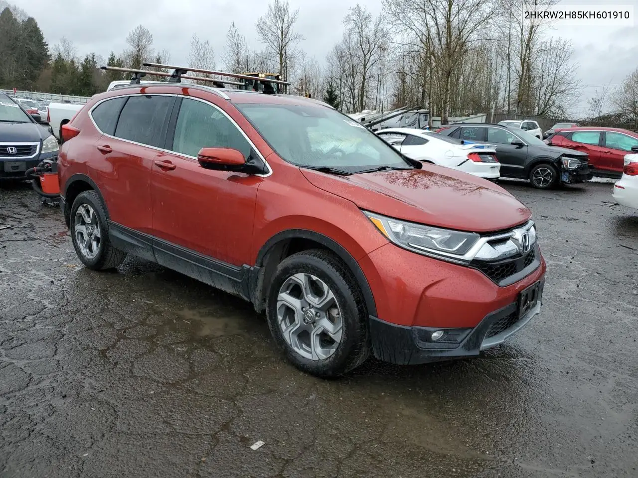 2019 Honda Cr-V Exl VIN: 2HKRW2H85KH601910 Lot: 49273285