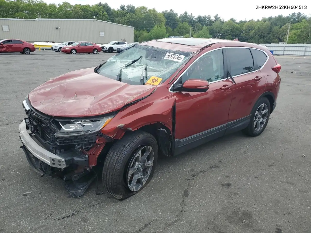 2019 Honda Cr-V Ex VIN: 2HKRW2H52KH604513 Lot: 56573745