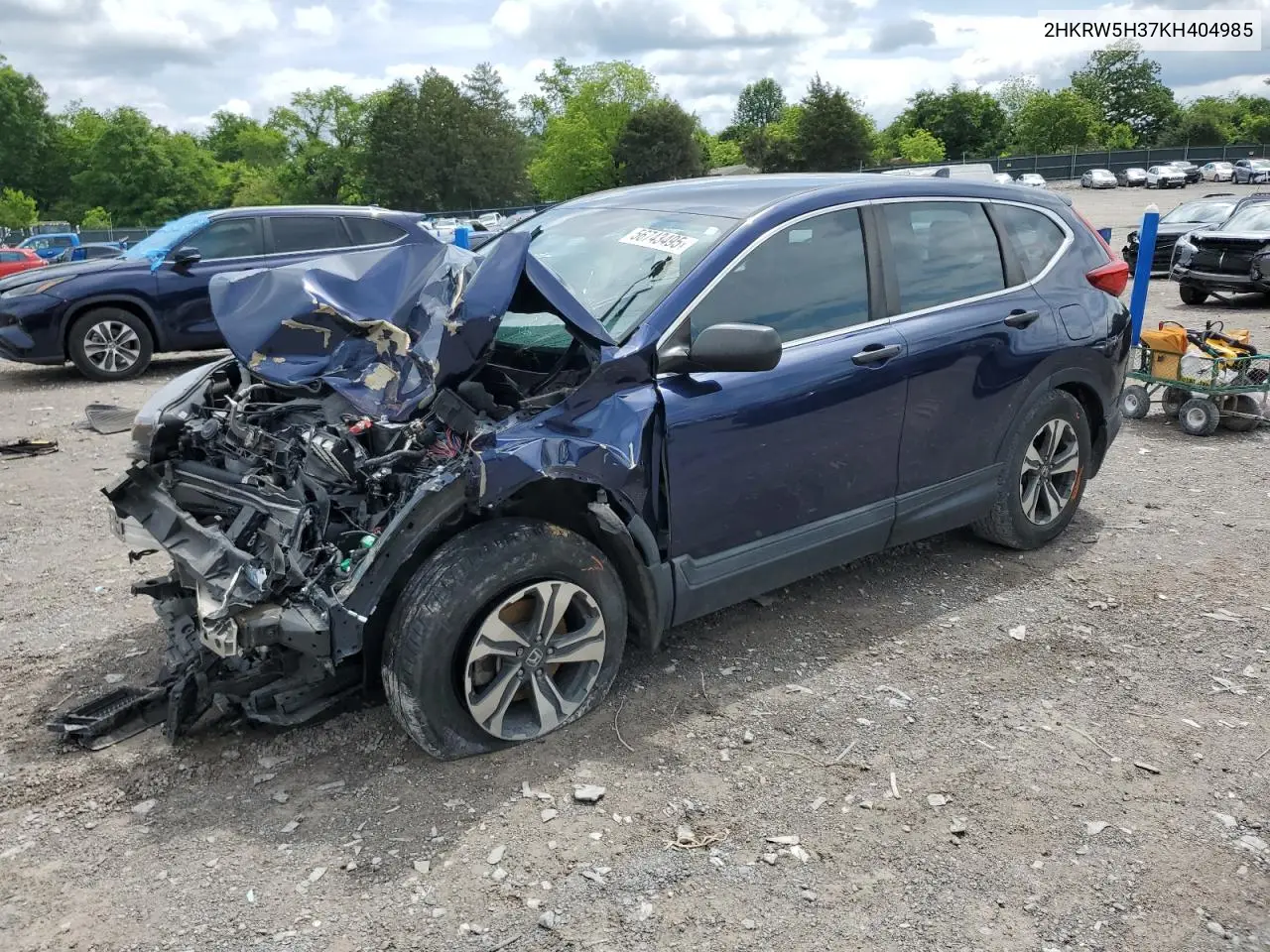 2019 Honda Cr-V Lx VIN: 2HKRW5H37KH404985 Lot: 56743495