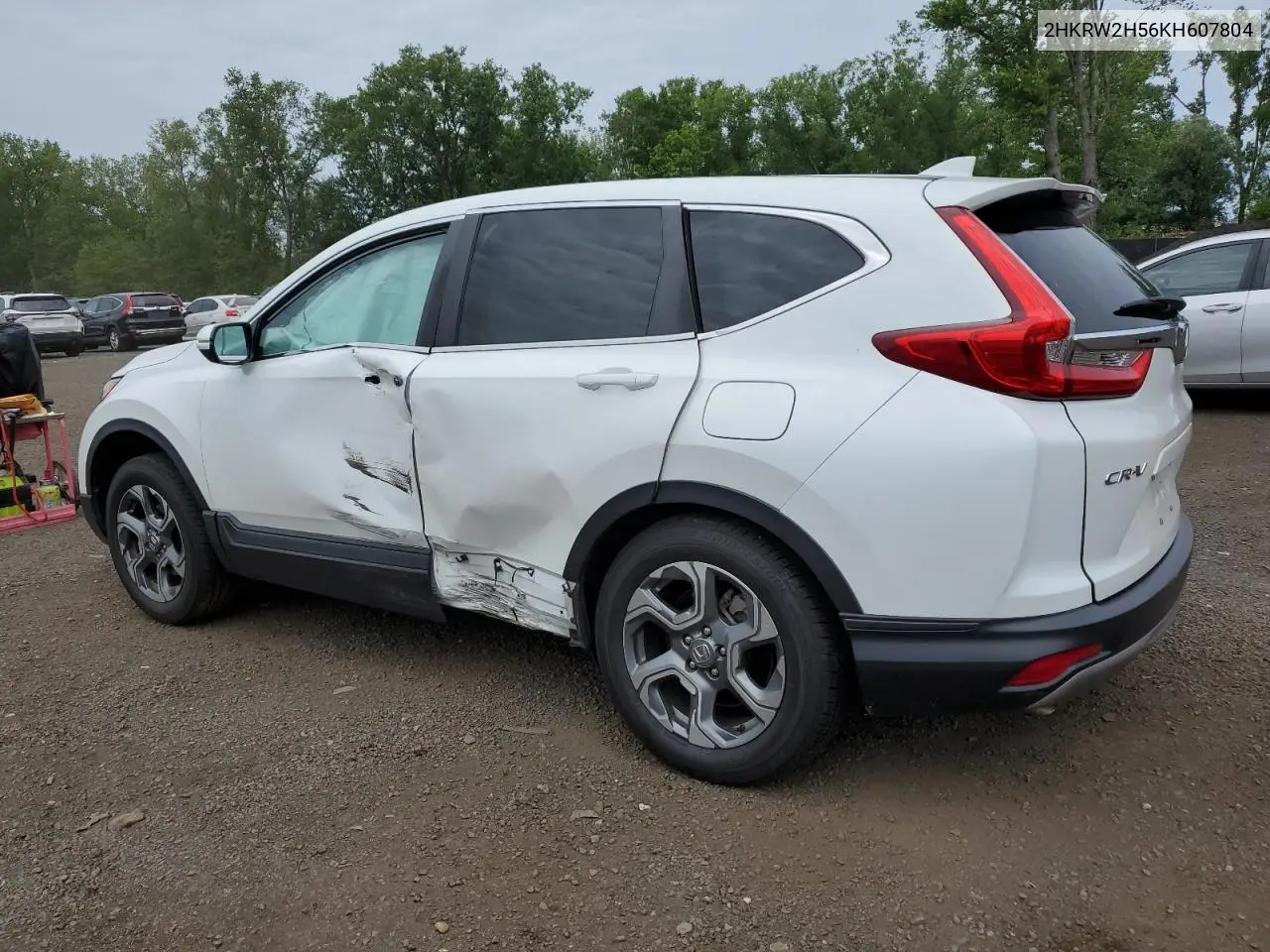 2019 Honda Cr-V Ex VIN: 2HKRW2H56KH607804 Lot: 62224085