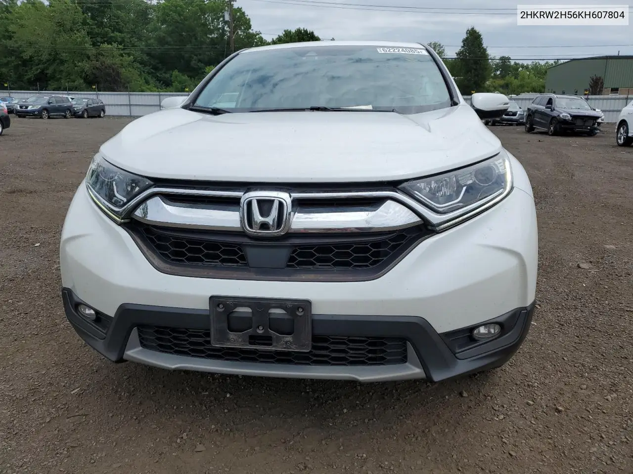 2019 Honda Cr-V Ex VIN: 2HKRW2H56KH607804 Lot: 62224085