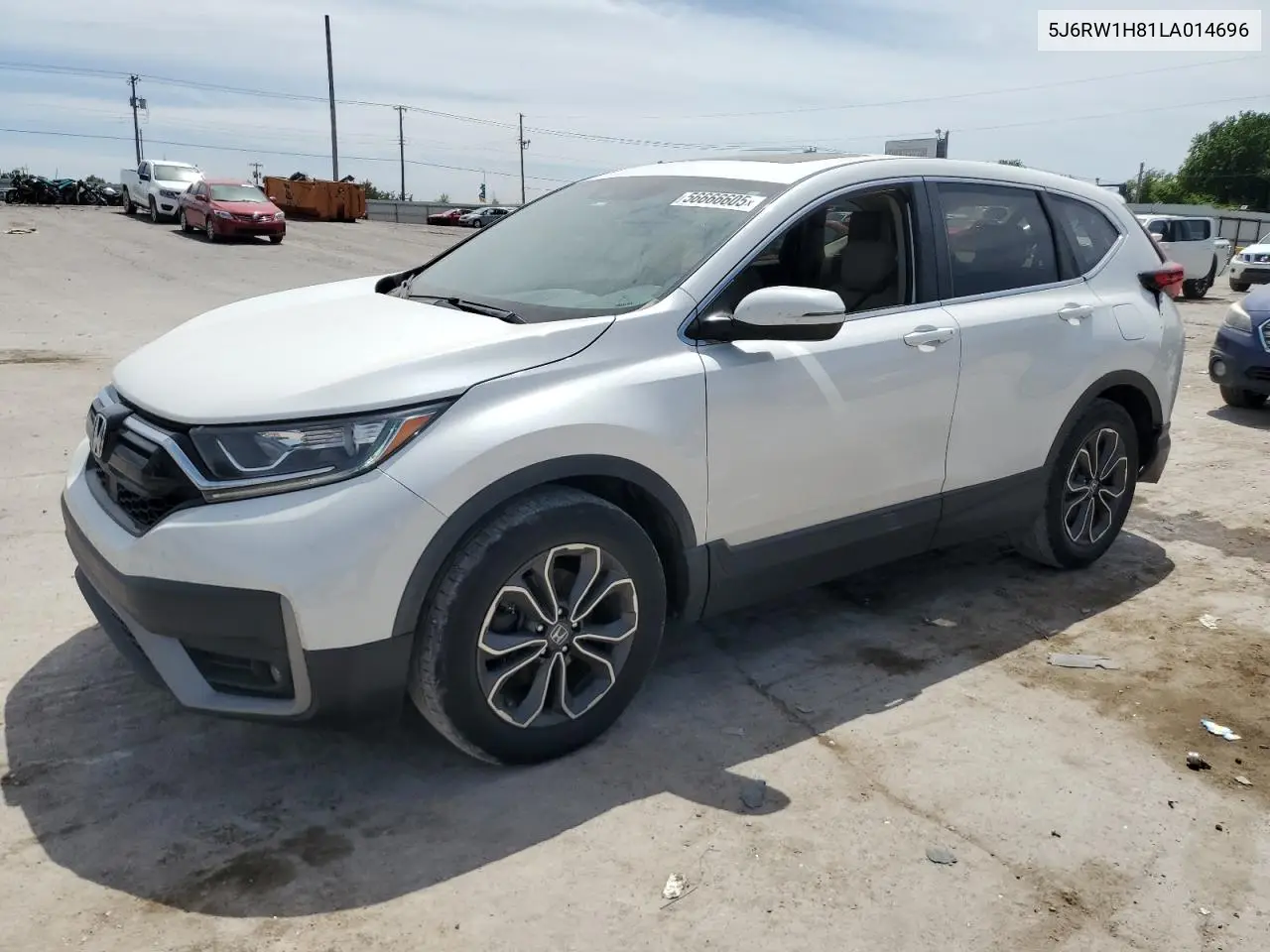 2020 Honda Cr-V Exl VIN: 5J6RW1H81LA014696 Lot: 56666605