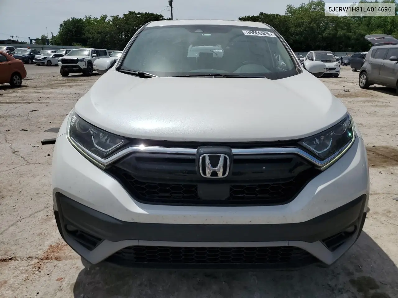 2020 Honda Cr-V Exl VIN: 5J6RW1H81LA014696 Lot: 56666605
