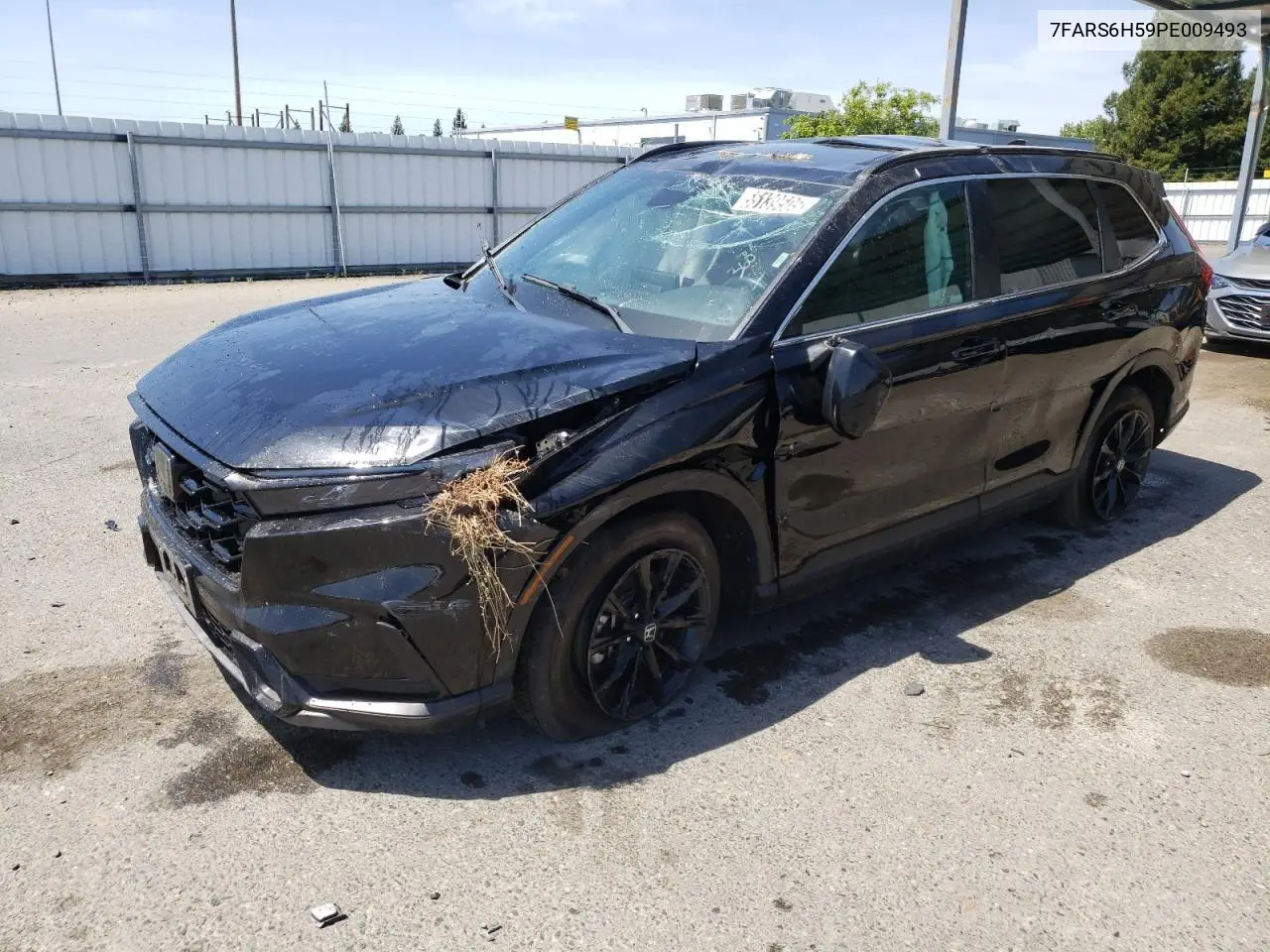2023 Honda Cr-V Sport VIN: 7FARS6H59PE009493 Lot: 55139505