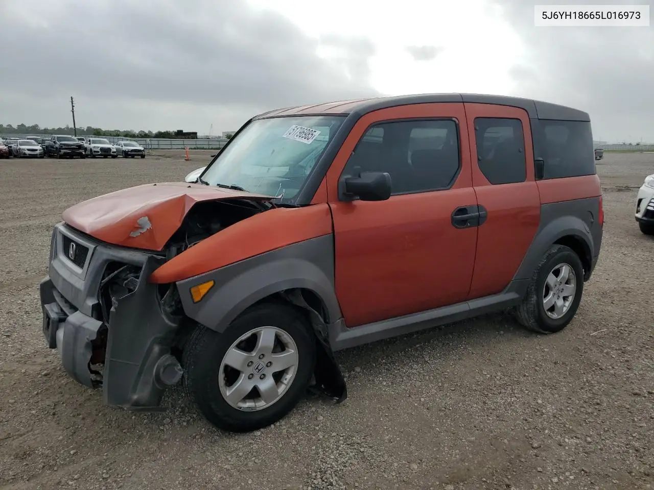 2005 Honda Element Ex VIN: 5J6YH18665L016973 Lot: 51796985