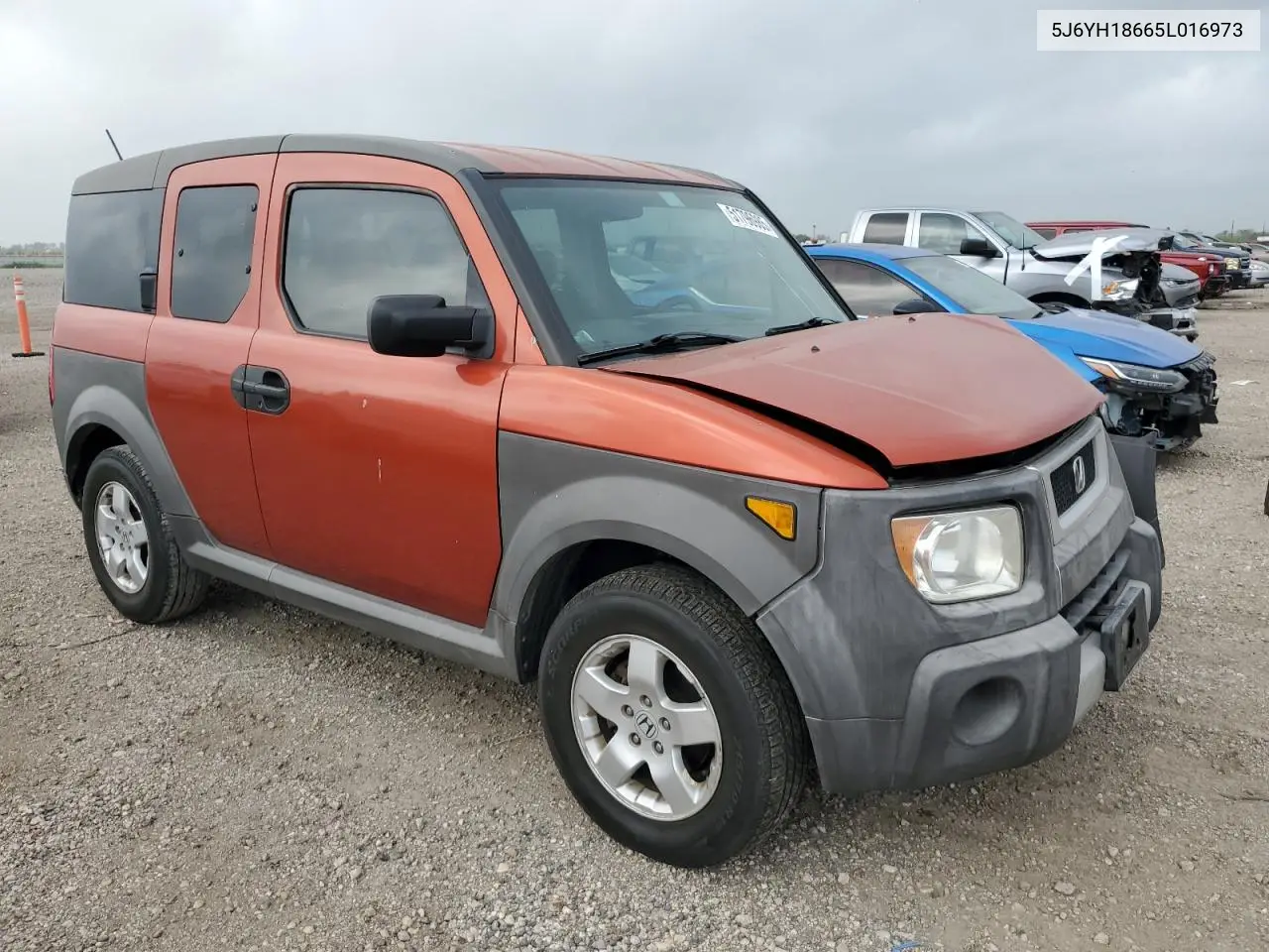 2005 Honda Element Ex VIN: 5J6YH18665L016973 Lot: 51796985
