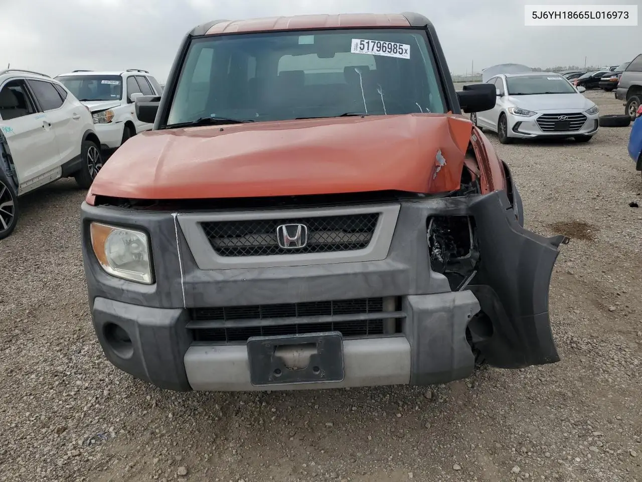 2005 Honda Element Ex VIN: 5J6YH18665L016973 Lot: 51796985