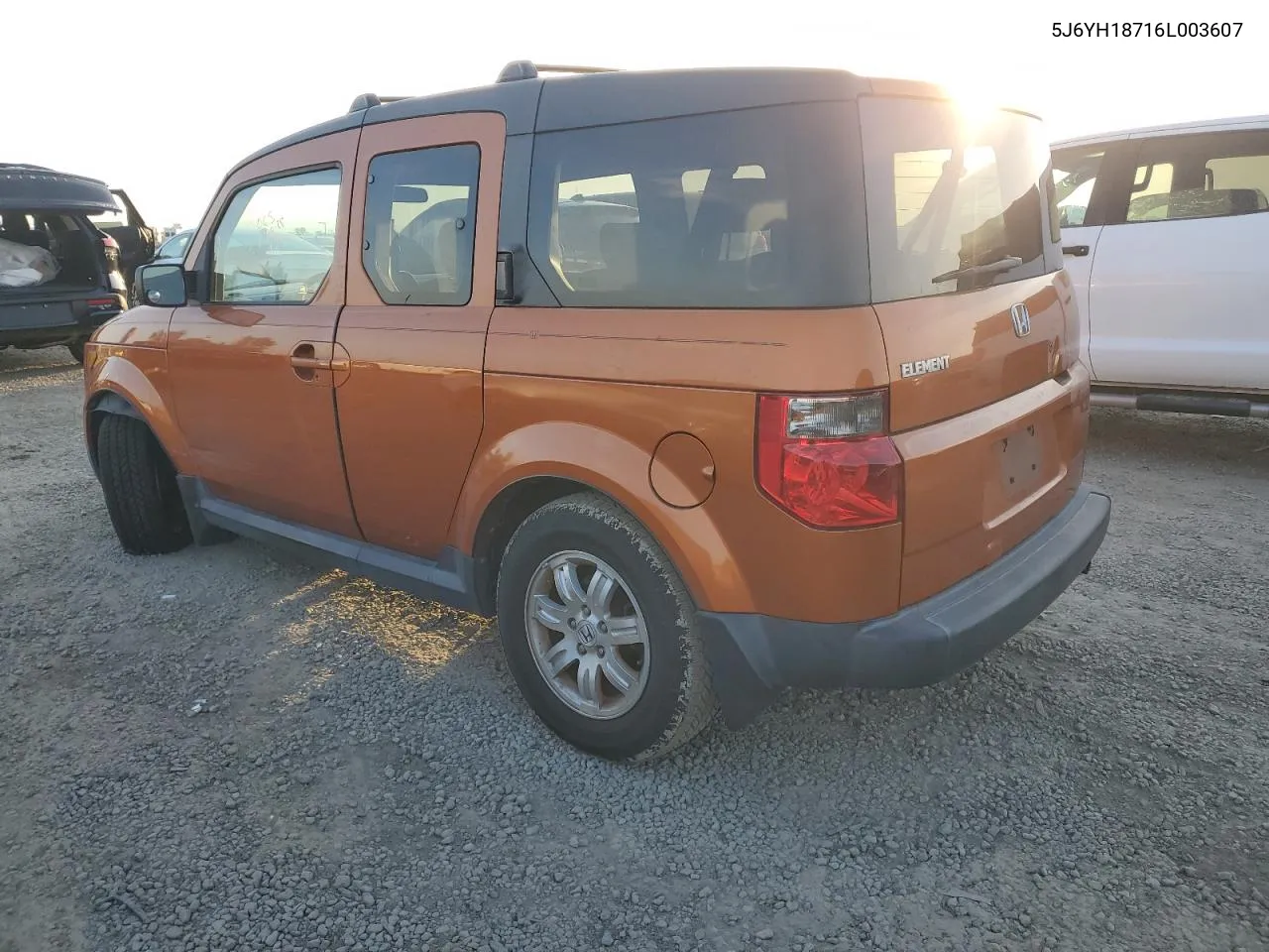 2006 Honda Element Ex VIN: 5J6YH18716L003607 Lot: 43426985