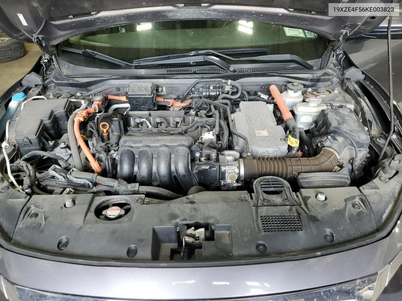 2019 Honda Insight Ex VIN: 19XZE4F56KE003823 Lot: 56842605
