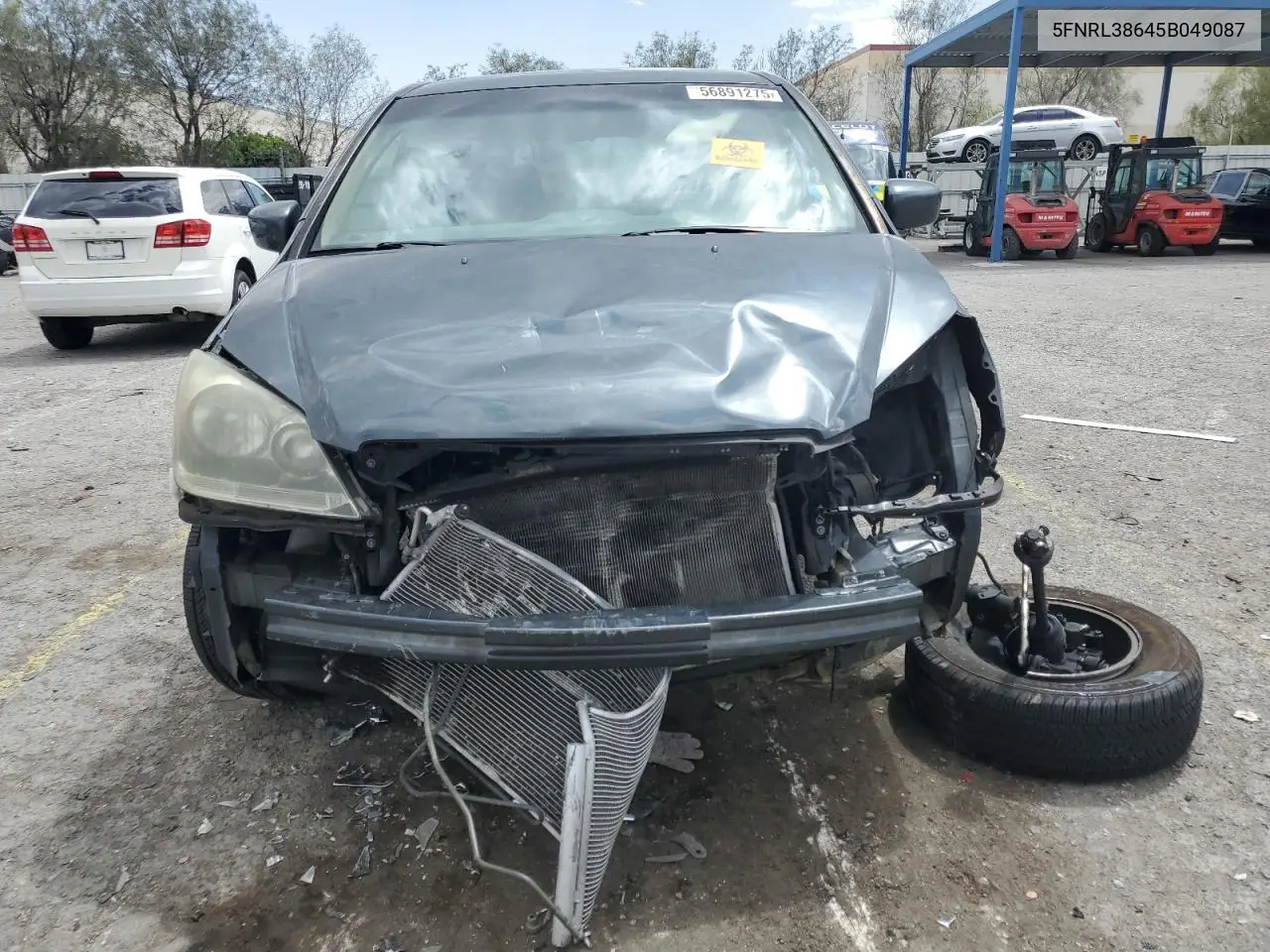 2005 Honda Odyssey Exl VIN: 5FNRL38645B049087 Lot: 56891275