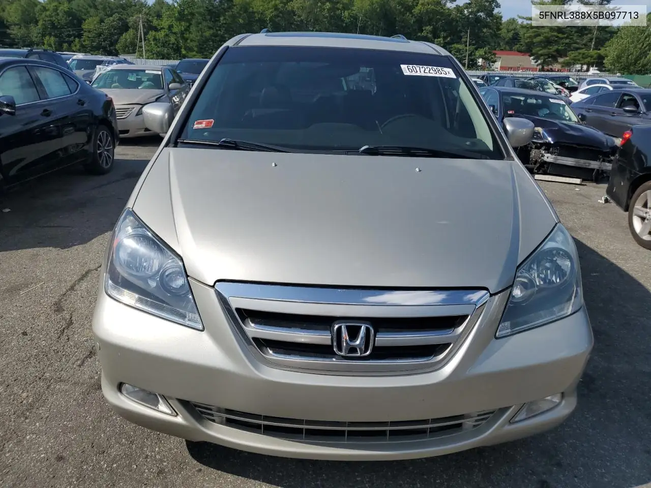 2005 Honda Odyssey Touring VIN: 5FNRL388X5B097713 Lot: 60722985