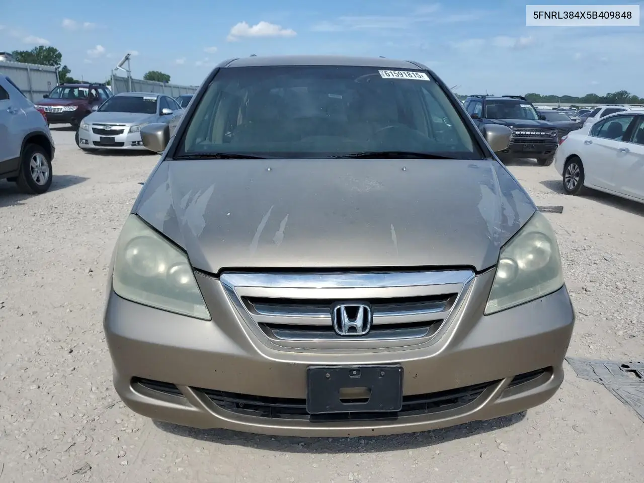 2005 Honda Odyssey Ex VIN: 5FNRL384X5B409848 Lot: 61591815