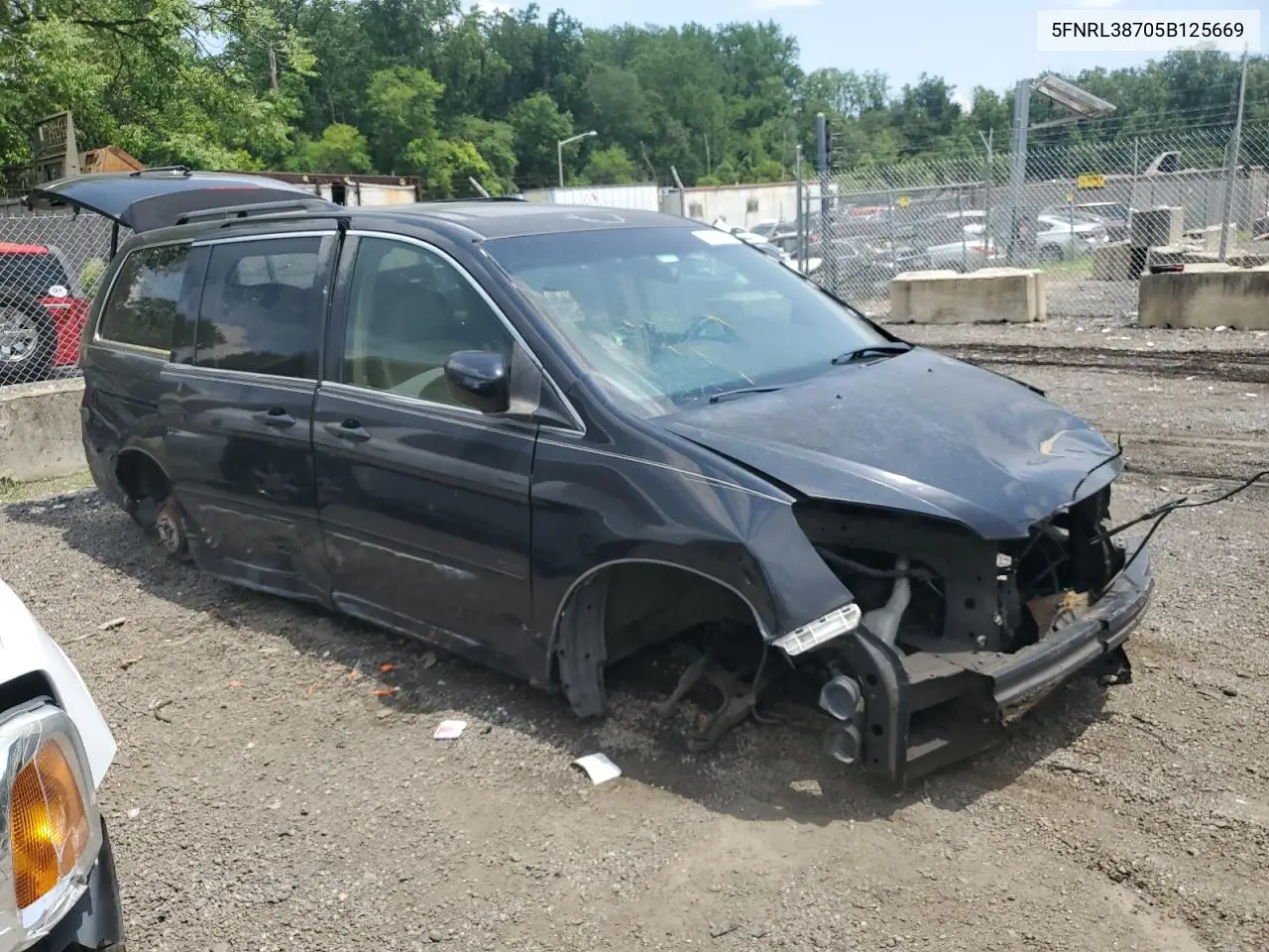 2005 Honda Odyssey Exl VIN: 5FNRL38705B125669 Lot: 62695515