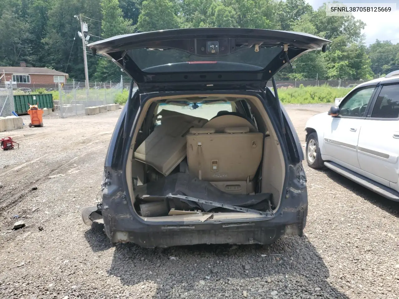 2005 Honda Odyssey Exl VIN: 5FNRL38705B125669 Lot: 62695515
