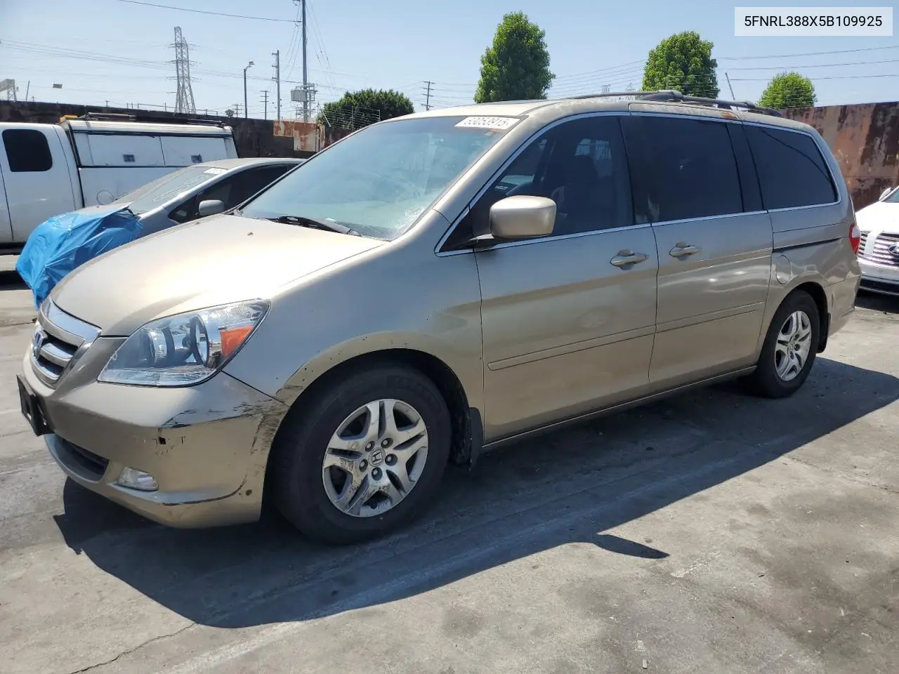 2005 Honda Odyssey Touring VIN: 5FNRL388X5B109925 Lot: 63053915