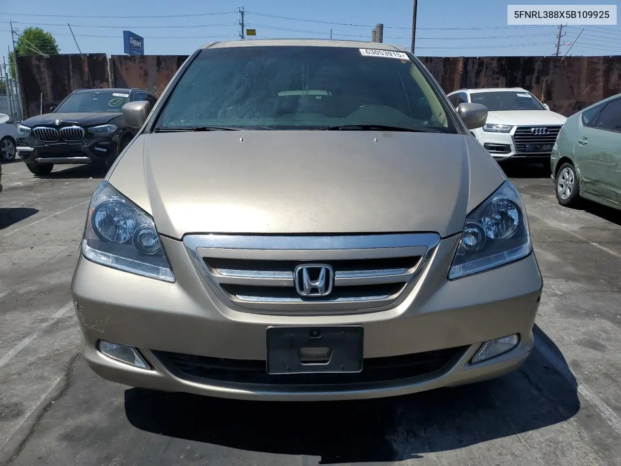 2005 Honda Odyssey Touring VIN: 5FNRL388X5B109925 Lot: 63053915