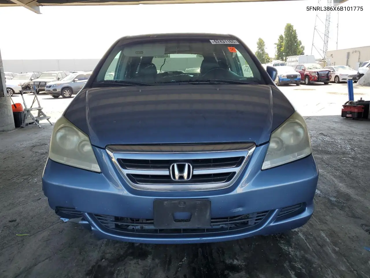 2006 Honda Odyssey Exl VIN: 5FNRL386X6B101775 Lot: 62431165