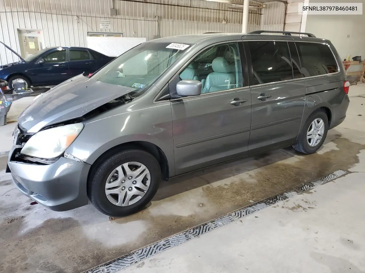 2007 Honda Odyssey Exl VIN: 5FNRL38797B460481 Lot: 55046625