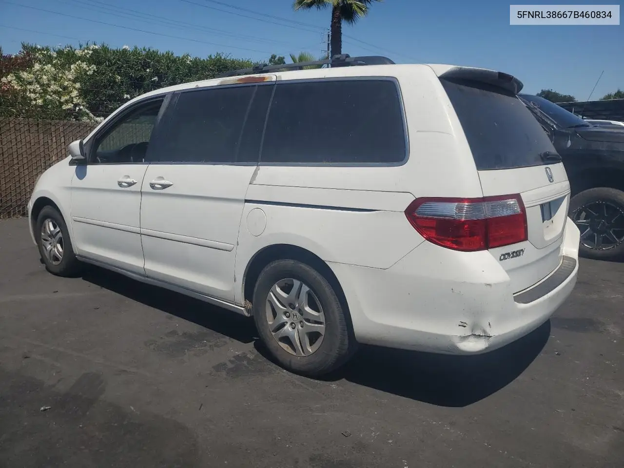 2007 Honda Odyssey Exl VIN: 5FNRL38667B460834 Lot: 63347985