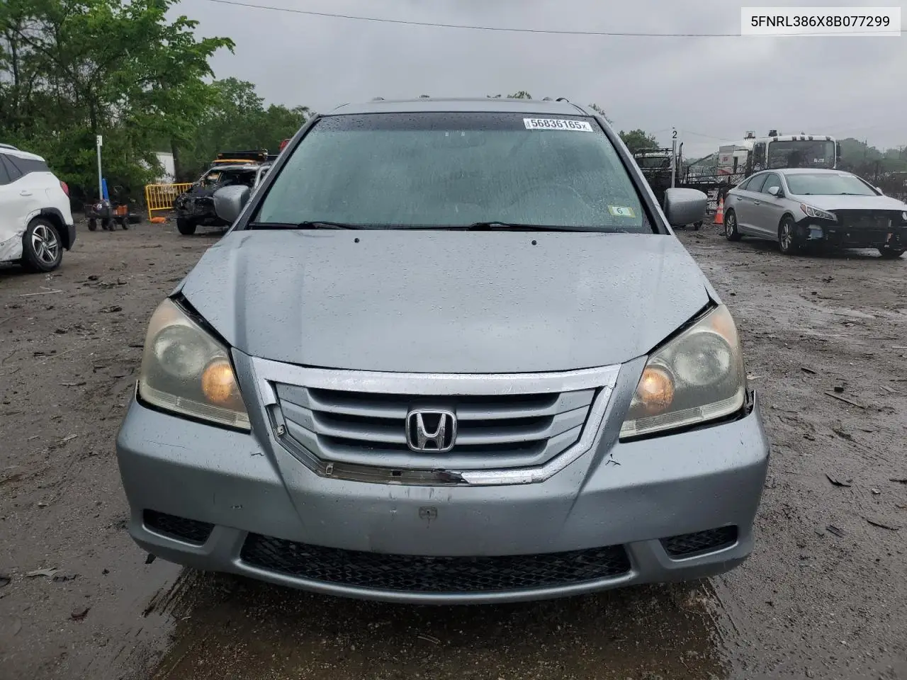 2008 Honda Odyssey Exl VIN: 5FNRL386X8B077299 Lot: 56836165