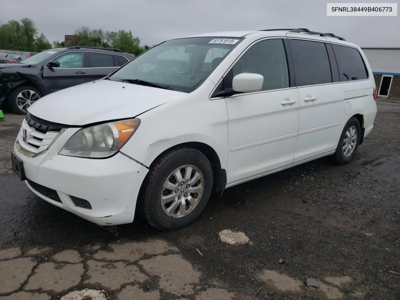 2009 Honda Odyssey Ex VIN: 5FNRL38449B406773 Lot: 55761815