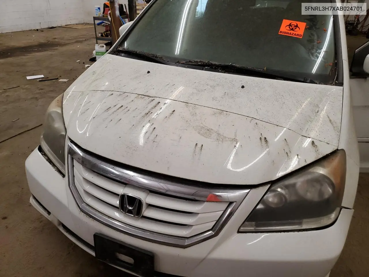 2010 Honda Odyssey Exl VIN: 5FNRL3H7XAB024701 Lot: 56007685