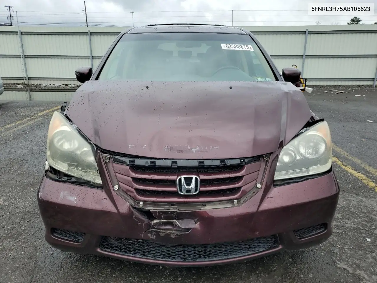 2010 Honda Odyssey Exl VIN: 5FNRL3H75AB105623 Lot: 62503875