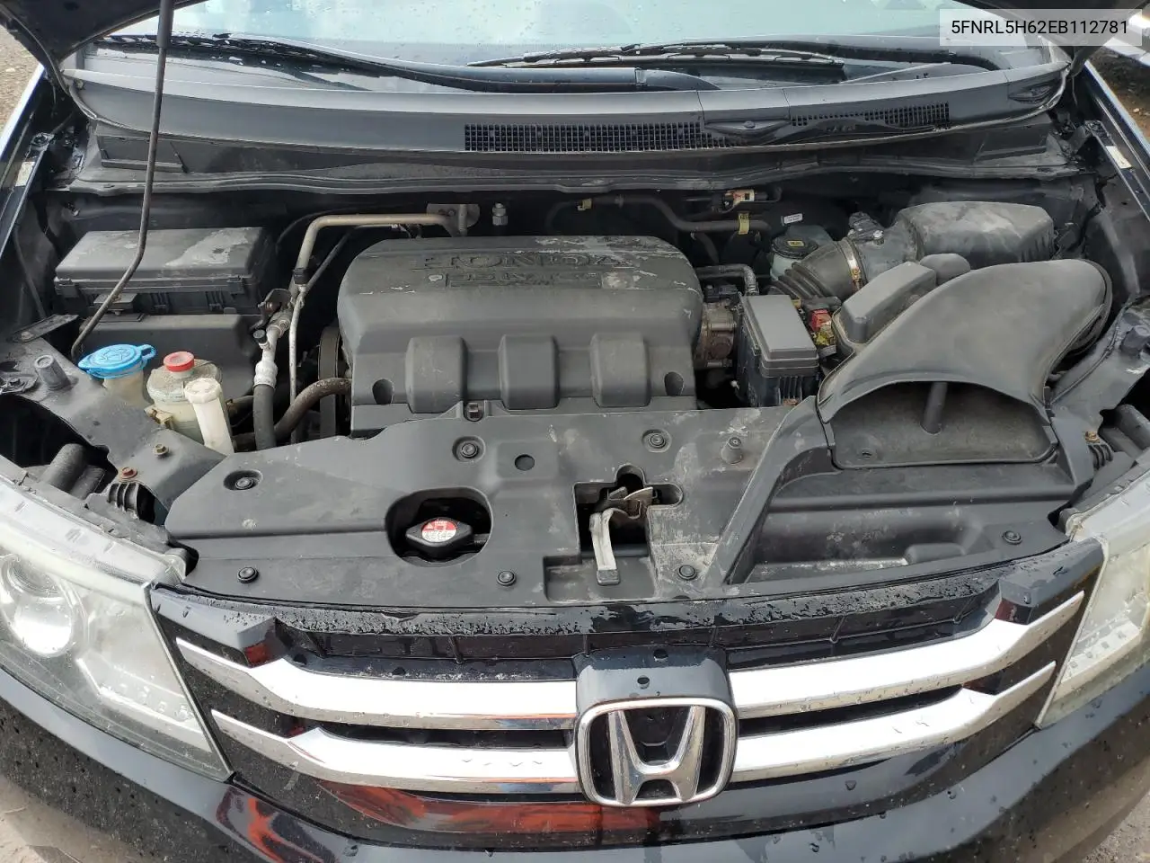 2014 Honda Odyssey Exl VIN: 5FNRL5H62EB112781 Lot: 55053255