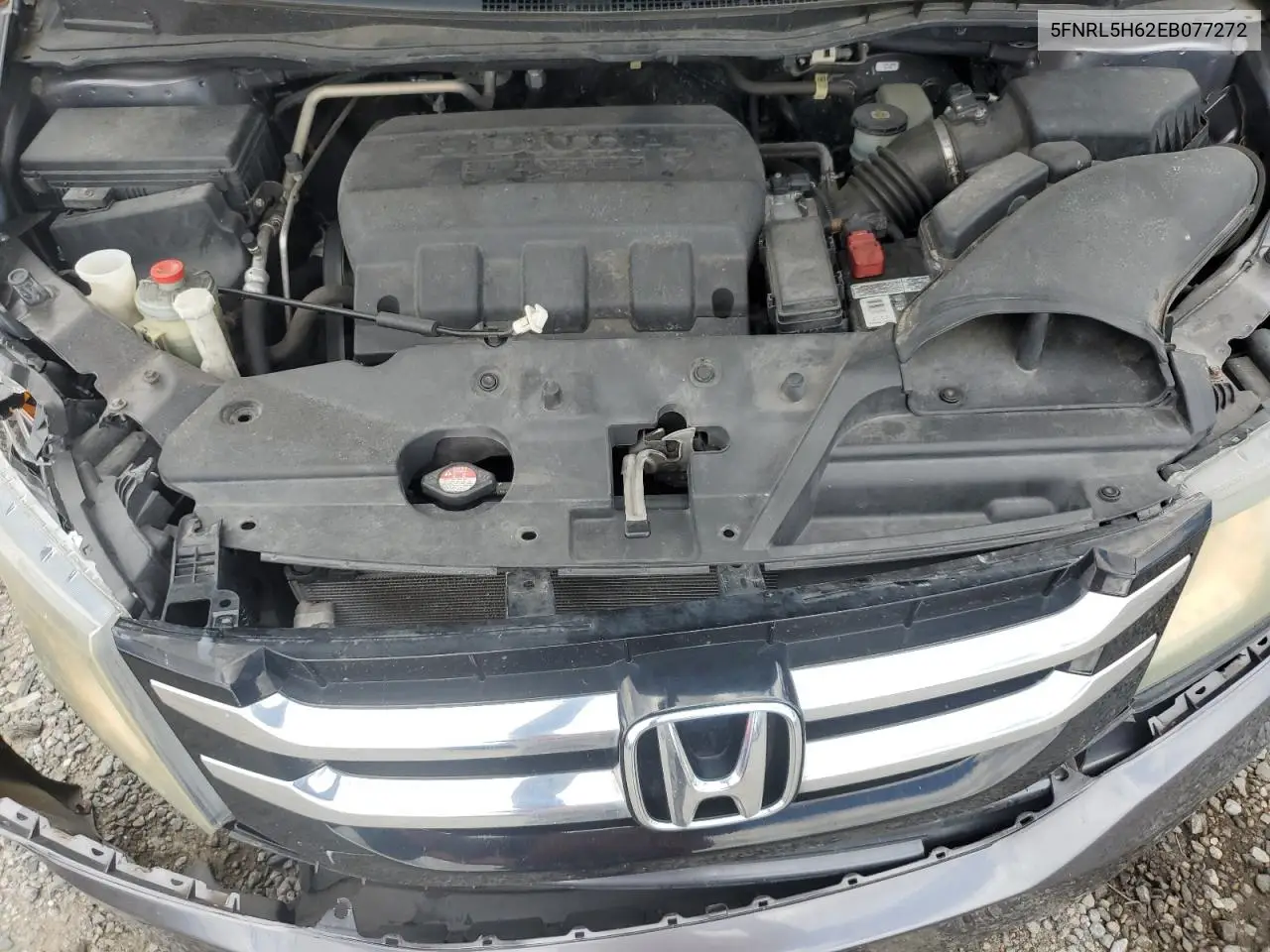 2014 Honda Odyssey Exl VIN: 5FNRL5H62EB077272 Lot: 56466945