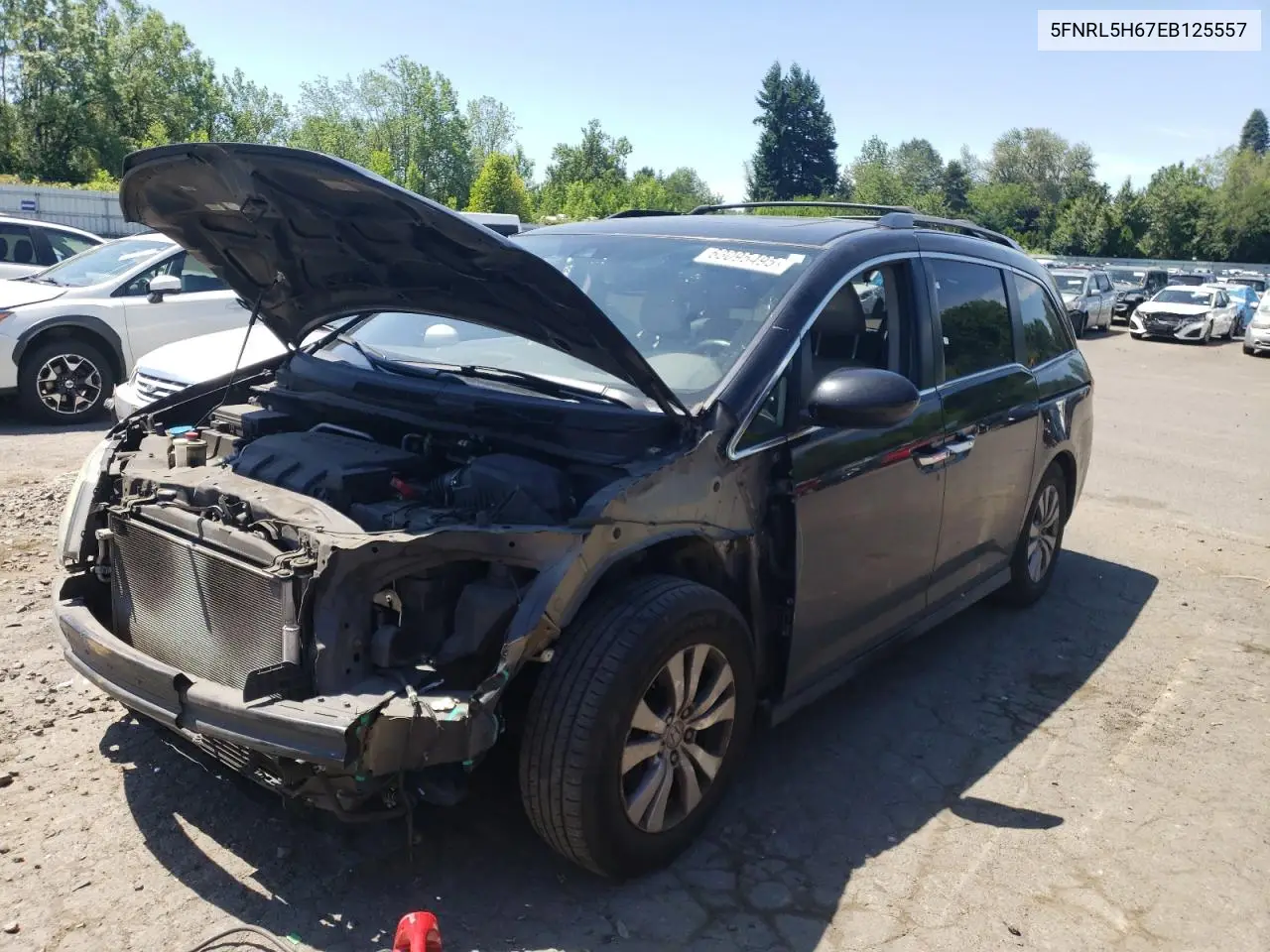 2014 Honda Odyssey Exl VIN: 5FNRL5H67EB125557 Lot: 63095495