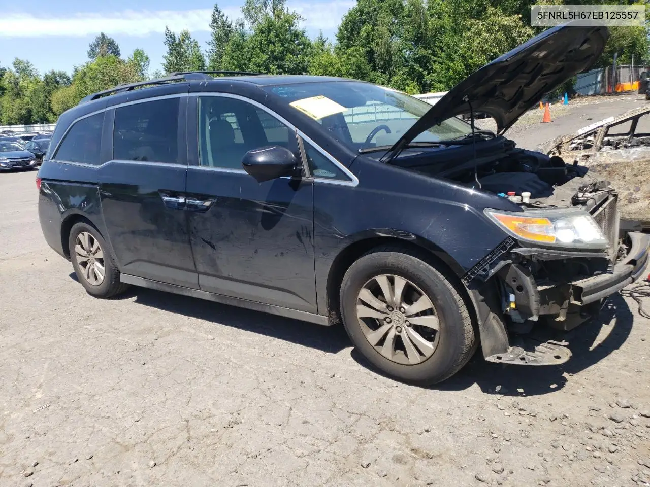 2014 Honda Odyssey Exl VIN: 5FNRL5H67EB125557 Lot: 63095495