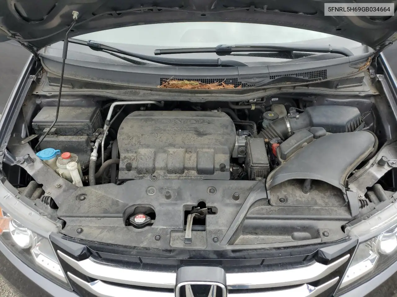 2016 Honda Odyssey Exl VIN: 5FNRL5H69GB034664 Lot: 56781175