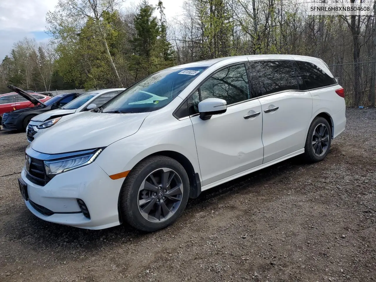 2022 Honda Odyssey Touring VIN: 5FNRL6H8XNB504608 Lot: 53189225