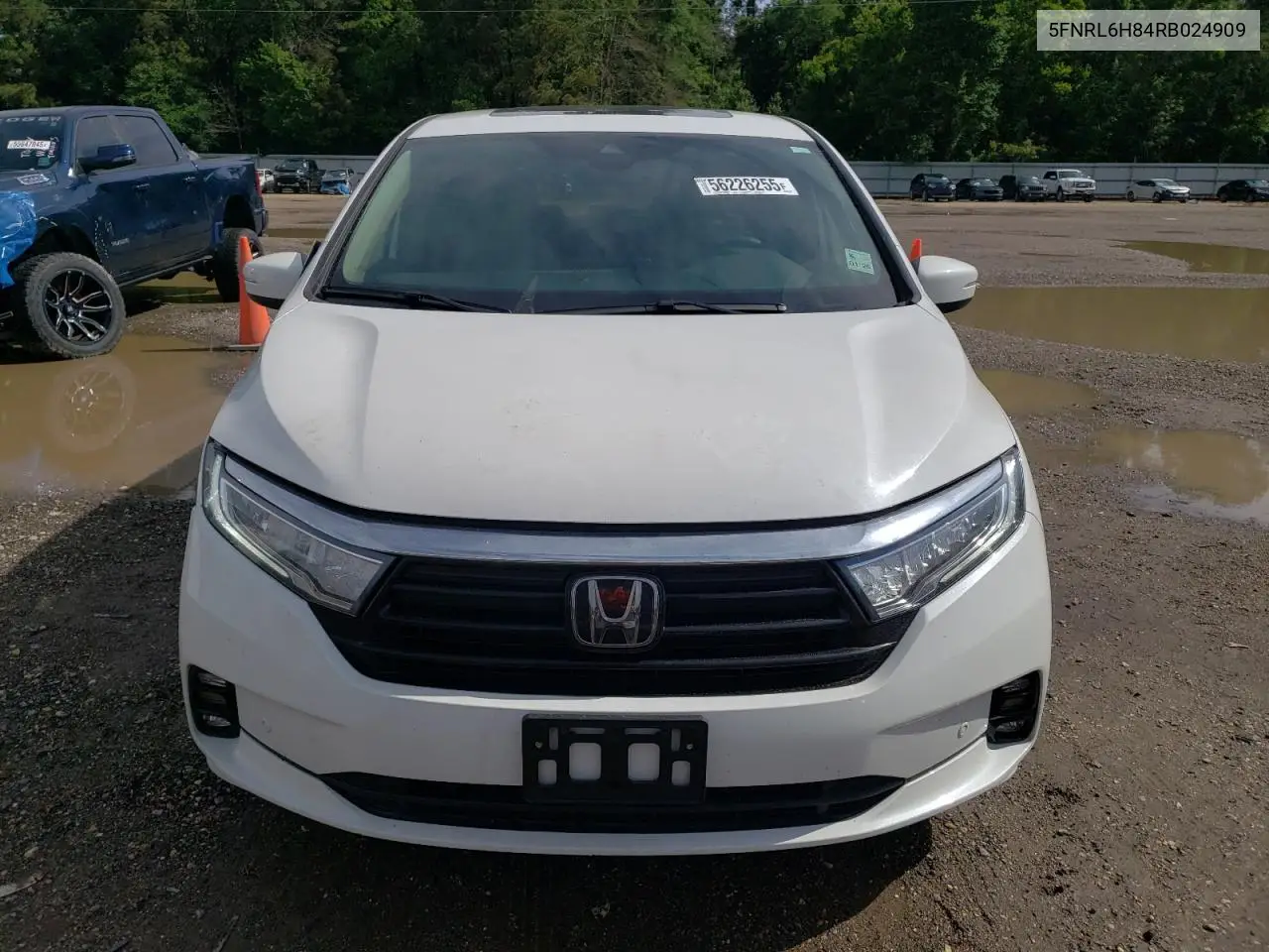 2024 Honda Odyssey Touring VIN: 5FNRL6H84RB024909 Lot: 56226255