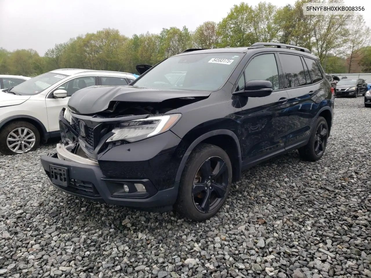 2019 Honda Passport Elite VIN: 5FNYF8H0XKB008356 Lot: 54593175