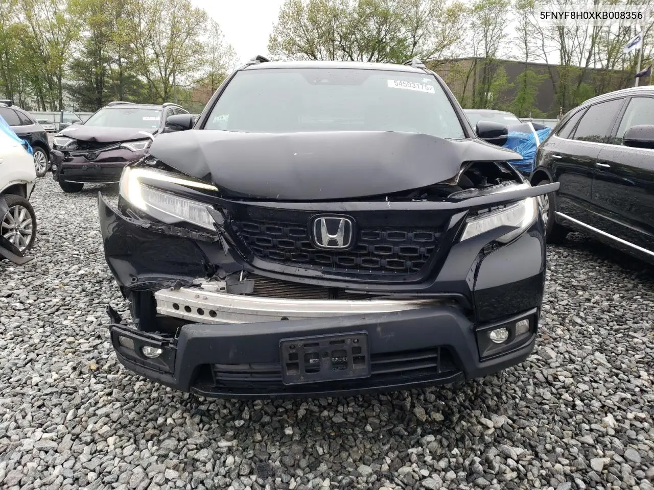 2019 Honda Passport Elite VIN: 5FNYF8H0XKB008356 Lot: 54593175
