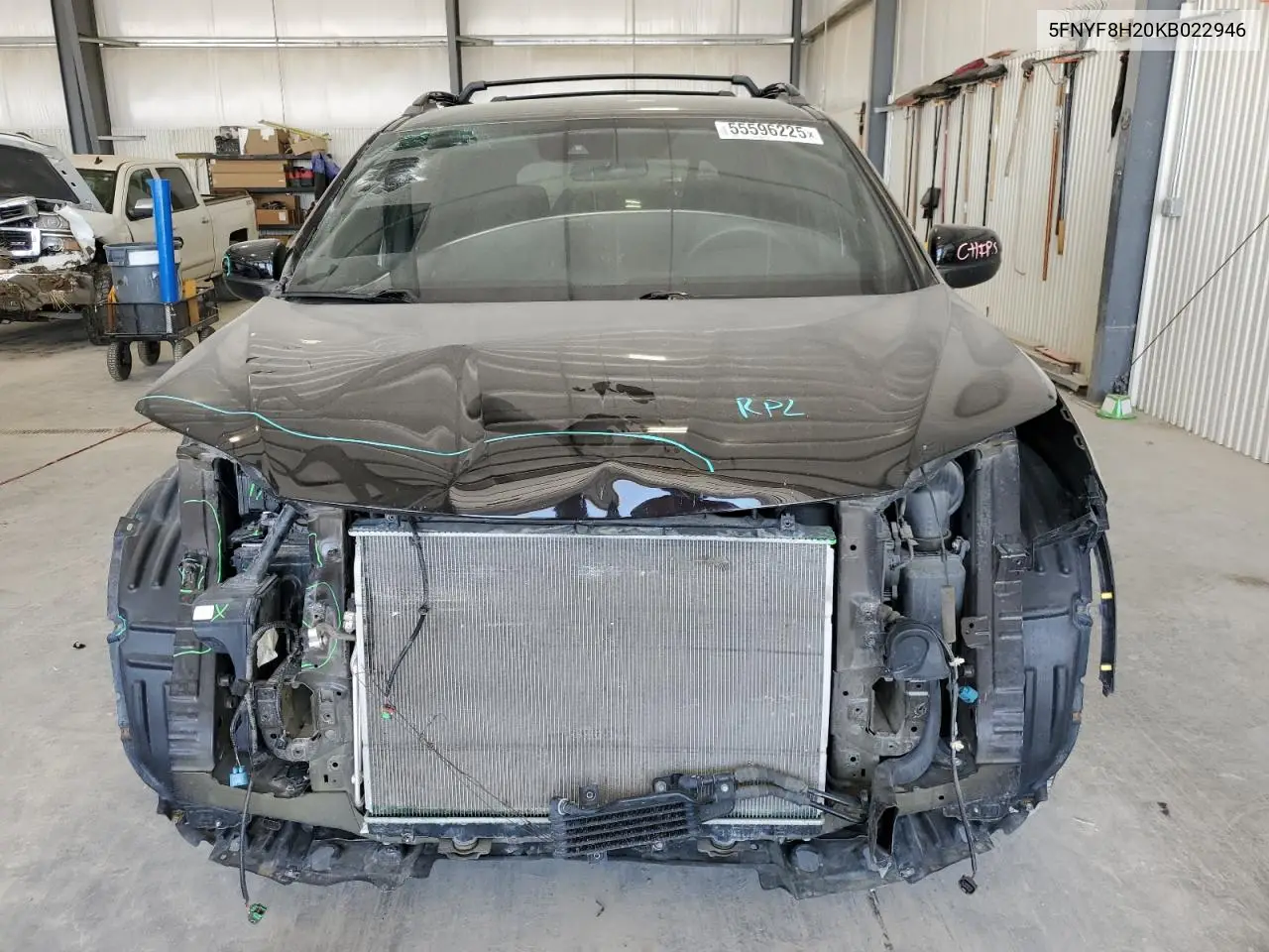 2019 Honda Passport Sport VIN: 5FNYF8H20KB022946 Lot: 55596225
