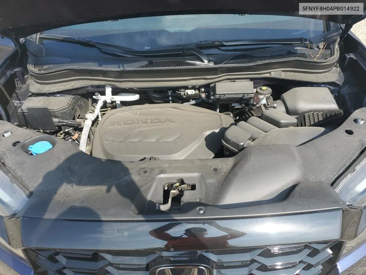 2023 Honda Passport Elite VIN: 5FNYF8H04PB014922 Lot: 56126575
