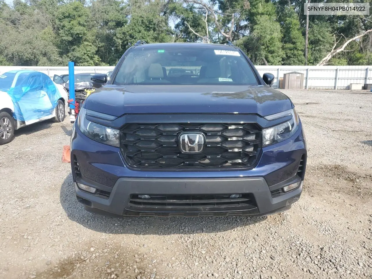 2023 Honda Passport Elite VIN: 5FNYF8H04PB014922 Lot: 56126575