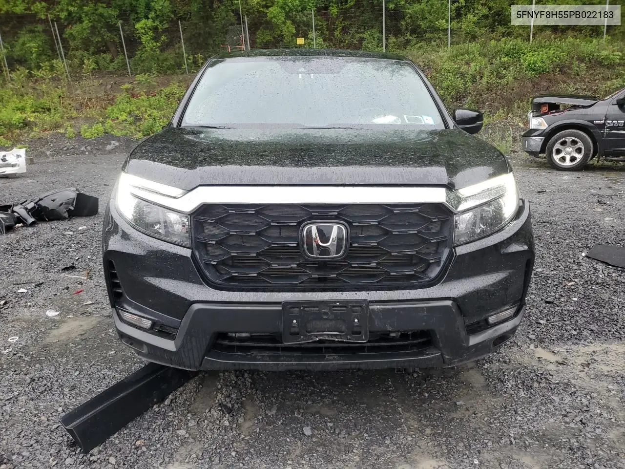 2023 Honda Passport Exl VIN: 5FNYF8H55PB022183 Lot: 57305445