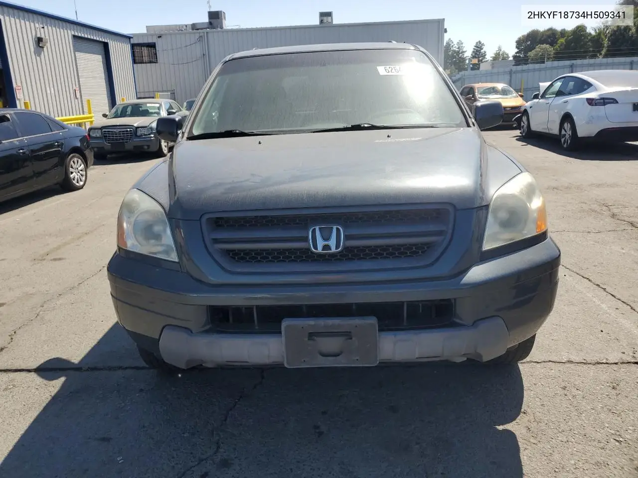 2004 Honda Pilot Exl VIN: 2HKYF18734H509341 Lot: 62646105