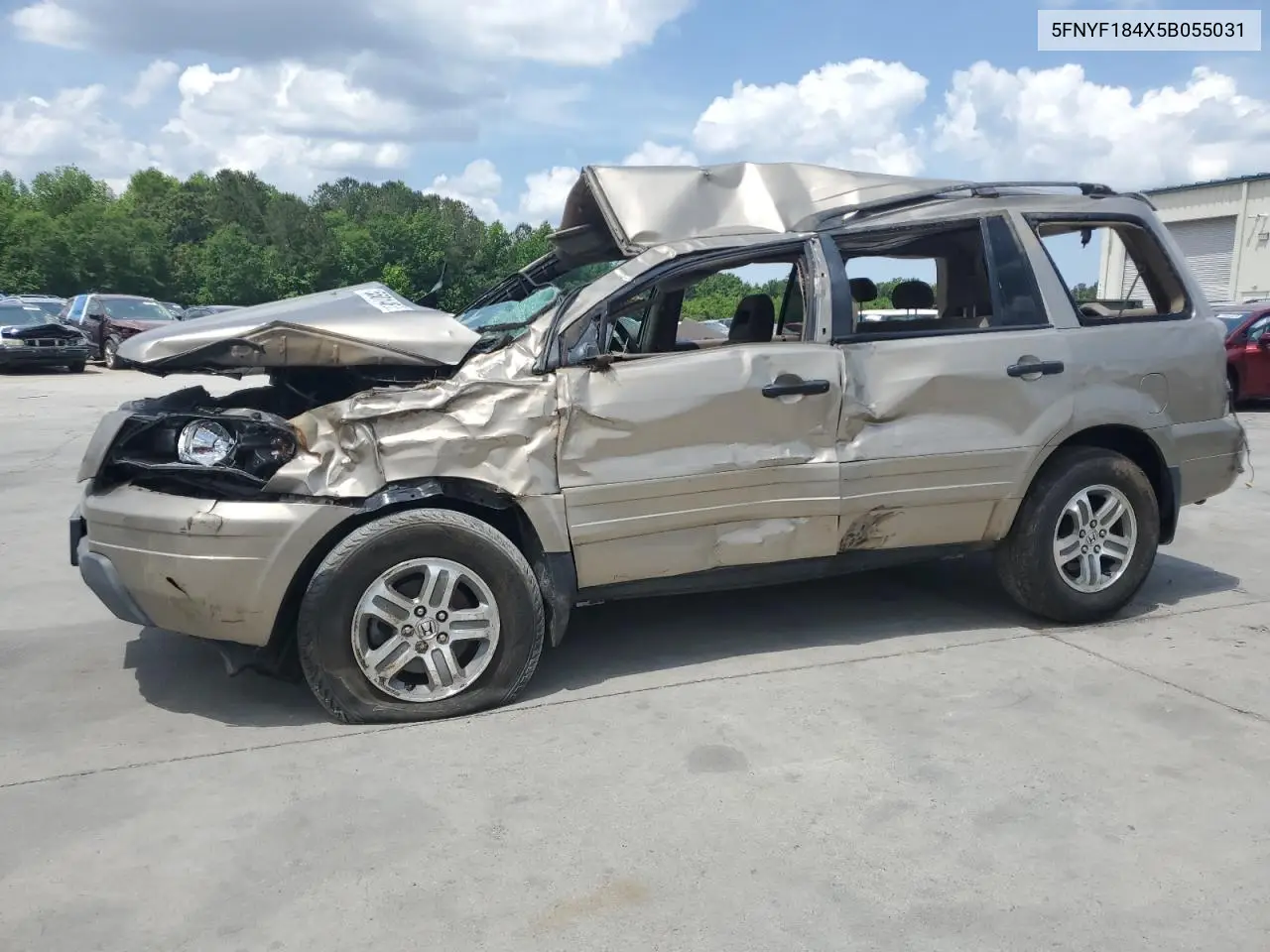 2005 Honda Pilot Ex VIN: 5FNYF184X5B055031 Lot: 55014655