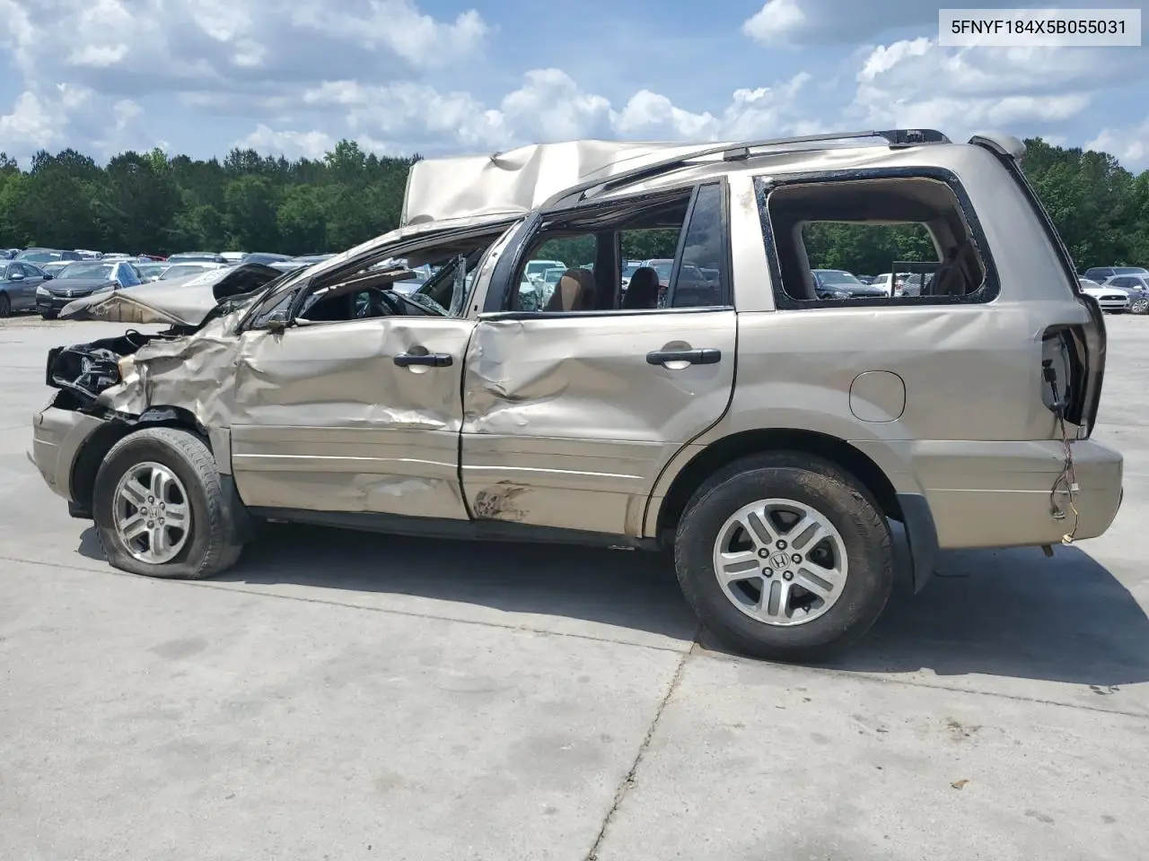 2005 Honda Pilot Ex VIN: 5FNYF184X5B055031 Lot: 55014655