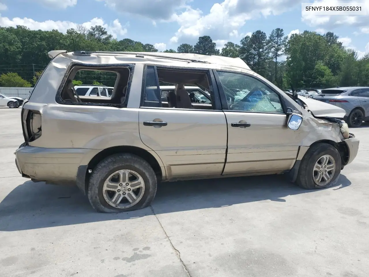 2005 Honda Pilot Ex VIN: 5FNYF184X5B055031 Lot: 55014655