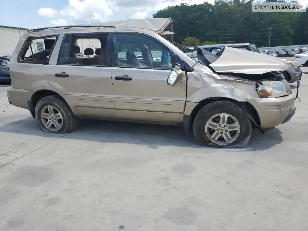 2005 Honda Pilot Ex VIN: 5FNYF184X5B055031 Lot: 55014655