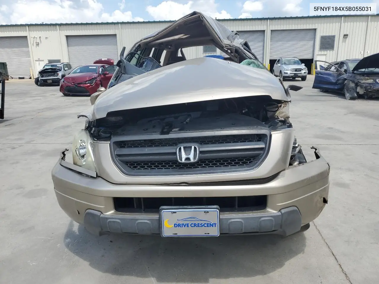2005 Honda Pilot Ex VIN: 5FNYF184X5B055031 Lot: 55014655